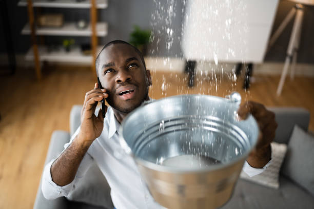 Best Water damage contractors near me  in Midland, PA