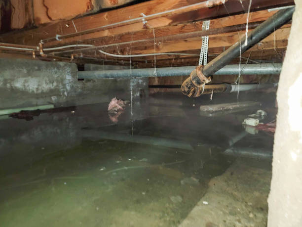 Best Flooded house restoration  in Midland, PA