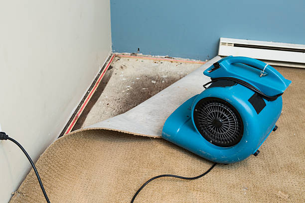 Best Carpet water damage restoration  in Midland, PA
